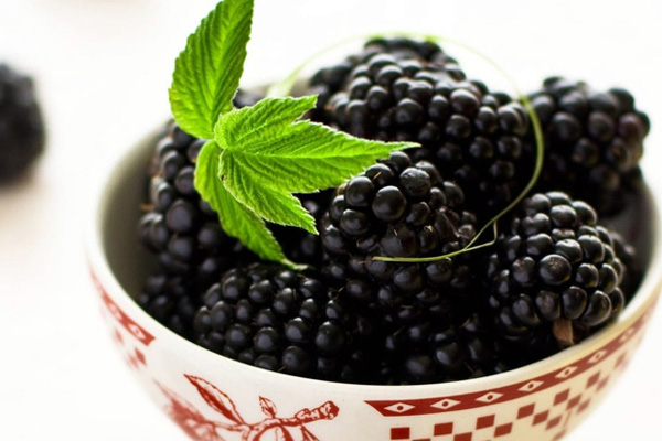 blackberry-fruit