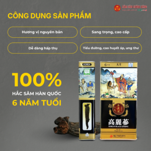 Nhân sâm triều tiên 30 Hắc sâm Hàn Quốc (Korean black ginseng 6Y 16-25 Root) Dạng củ 150g/hộp