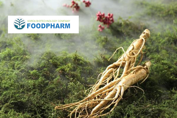 Korea-Biotechnology-company-FoodPharm