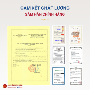 Nước hắc sâm Hàn Quốc (Ginssen Black Ginseng Jin Sunsu) 60ml*30gói/hộp 7 Nước hắc sâm Hàn Quốc (Ginssen Black Ginseng Jin Sunsu) 60ml*30gói/hộp