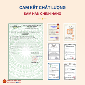 Hồng Sâm Hàn Quốc hàng ngày (Korean Red Ginseng Stick Daily) 10g*60gói/hộp